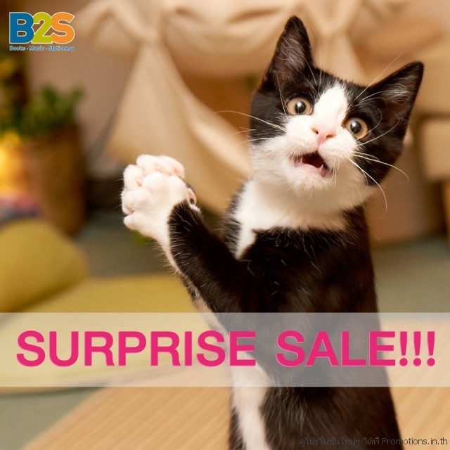 B2S-Surprise-Sale--640x640