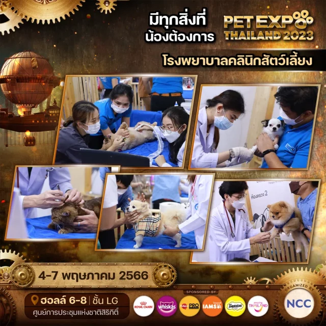 Pet-Expo-Thailand-2023-5-640x640