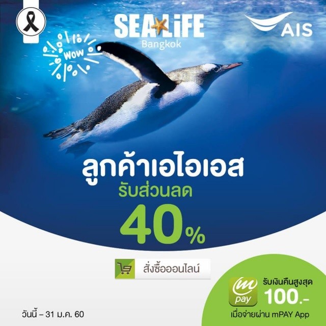 Sea-Life-Bangkok-Ocean-World-ais-640x640