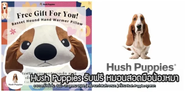 Hush-Puppies-640x320
