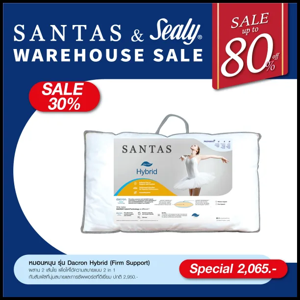 SANTAS-Sealy-Warehouse-Sale-2023-11