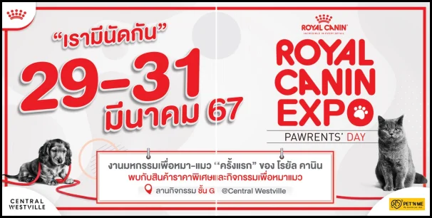 Royal-Canin-Expo-2024-ที่-Central-Westville